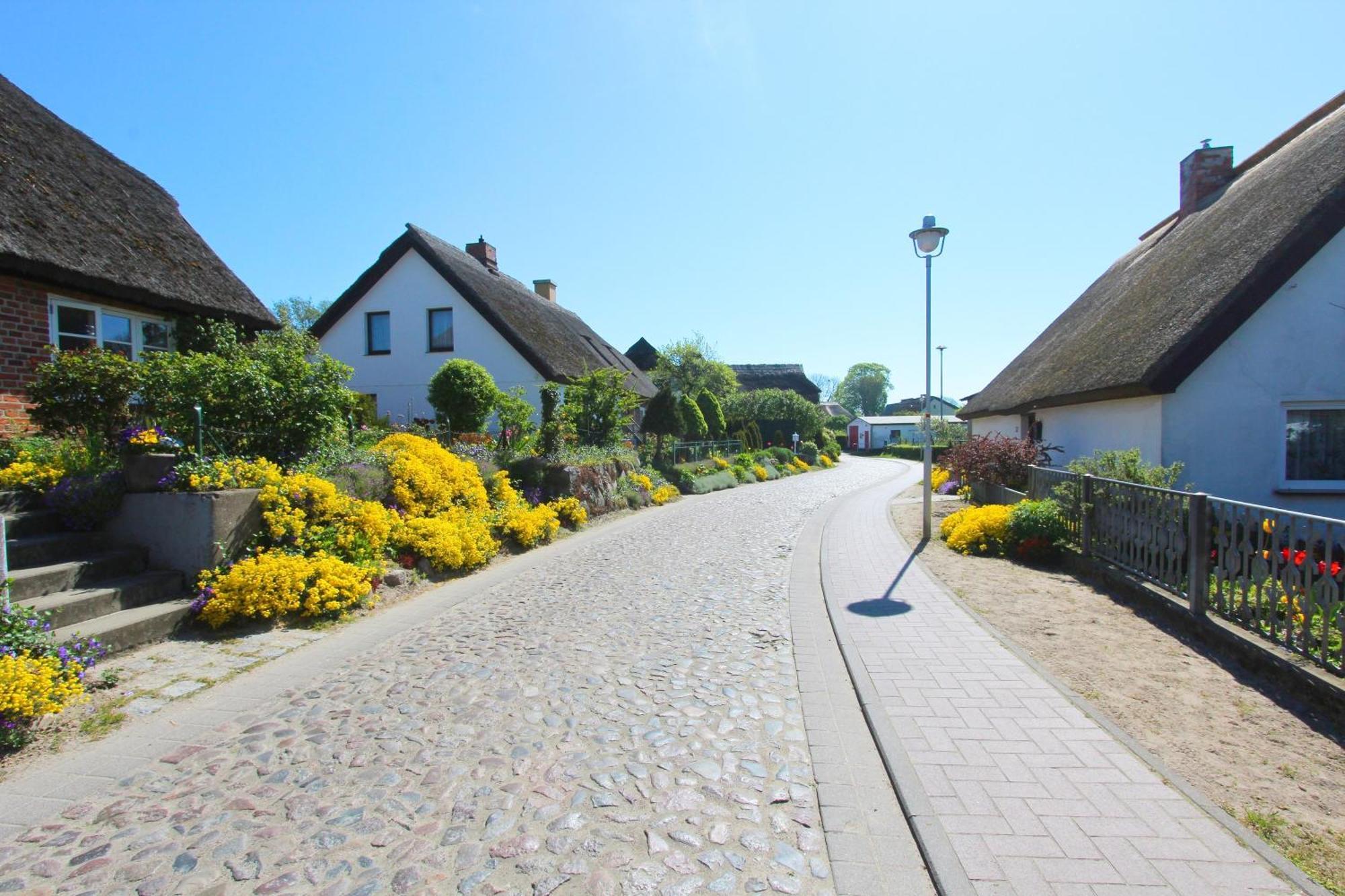 Ferienhaus Distelfink Fewo 04 Terrasse, Meerblick Groß Zicker Екстериор снимка